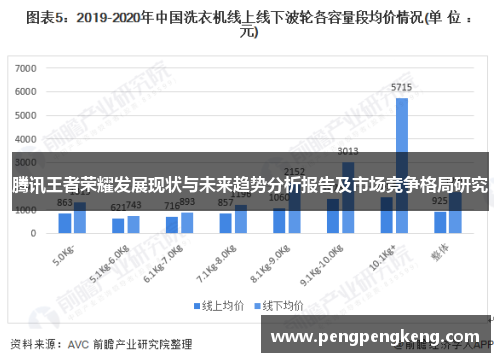 腾讯王者荣耀发展现状与未来趋势分析报告及市场竞争格局研究