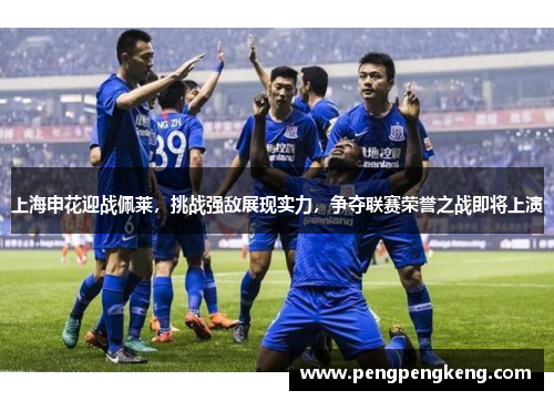 上海申花迎战佩莱，挑战强敌展现实力，争夺联赛荣誉之战即将上演