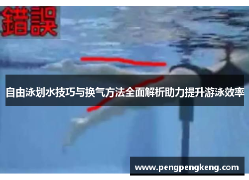 自由泳划水技巧与换气方法全面解析助力提升游泳效率