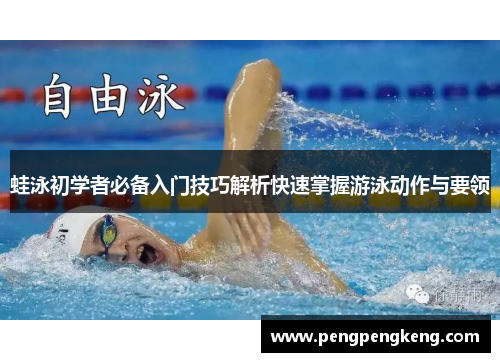 蛙泳初学者必备入门技巧解析快速掌握游泳动作与要领
